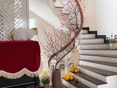???? BÁN NHÀ ĐẸP – NGÕ TÔ Ô TÔ VÀO TẬN NHÀ – KHU VỰC TRUNG TÂM – THIẾT KẾ HỢP LÝ – SỔ ĐỎ CHÍNH CHỦ- 40.5*5T