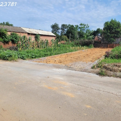 Cần tiền bán nhanh lô đất 112,5m2 xã Tân Minh, Sóc Sơn, Hà Nội, vị trí đẹp, giá đầu tư