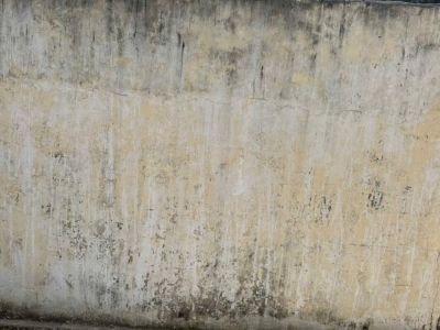 Bán Đất Hồng Tiến Bồ Đề- chân cầu Trần Hưng Đạo -70m mặt tiền 5m 16,x tỷ