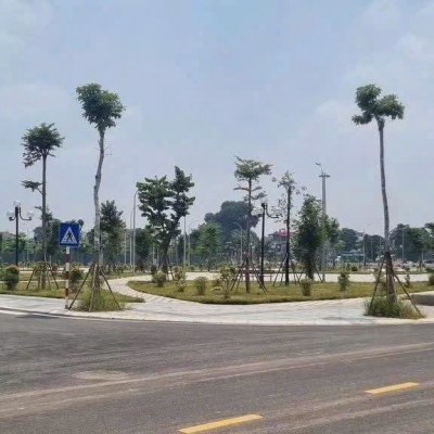 BÁN ĐẤT X1 NGUYÊN KHÊ – ĐÔNG ANH - VIEW CÔNG VIÊN TRƯỚC M