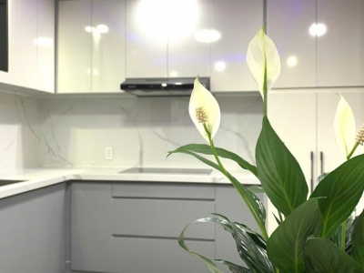 NHÀ GÁC ĐÚC – KIỆT 192 TÔ HIỆU  HÒA MINH – LIÊN CHIỂU