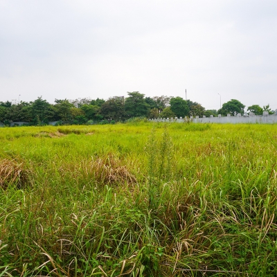 Bán 3500m2 đất cụm công nghiệp Ninh Hiệp, Gia Lâm, Hà Nội. Lô 2 mặt tiền