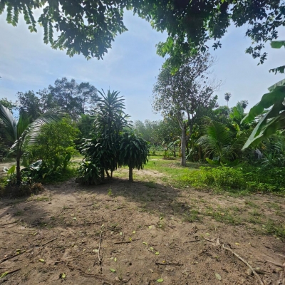 Bán đất thổ cư 1000m2, Mặt Tiền Thạnh Xuân 52, Q.12. Sổ hồng, giá 50 tỷ. LH: 0908877745