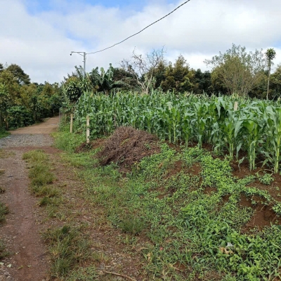 Bán 166,6m2 đất Tân Lạc Lâm Đồng, sẵn SHR, chỉ 450tr buông sổ. Lh:0983762203