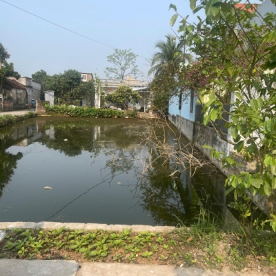 CHÍNH CHỦ GỬI BÁN ĐẤT TẠI THÔN NAM ĐẠI - XÃ QUỲNH BẢO - QUỲNH PHỤ - THÁI BÌNH