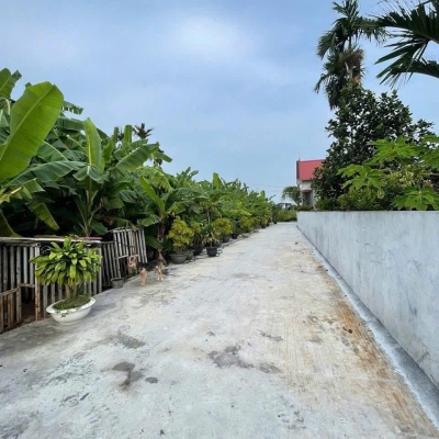 SIÊU PHẨM ĐẤT LÃO PHÚ – TÂN PHONG, KIẾN THỤY – GIÁ CHỈ 7XX TRIỆU – ĐẸP KHÔNG TÌ VẾT – ZALO 0567 222 555