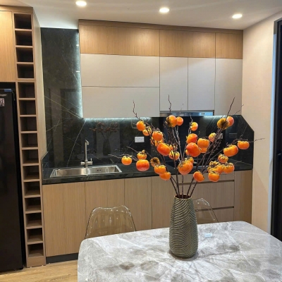 Chính chủ cần bán 3N, 2WC full nội thất chung cư N03 Trần Quý Kiên, Cầu Giấy, Hà Nội, chỉ hơn 5 tỷ