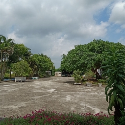 Bán đất Phường đại yên, TP Hạ Long, Tỉnh Quảng Ninh : DT 180m2