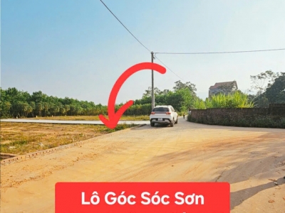 ???? BÁN ĐẤT TRUNG GIÃ – SÓC SƠN  100M² FULL THỔ CƯ  CHỈ NHỈNH 900 TRIỆU