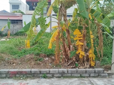 ĐẤT TÂN THÀNH – DƯƠNG KINH – 100M² NGANG 5M – TRỤC NGÕ 5M ĐẸP – GIÁ HIẾM  ZALO 0567 222 555