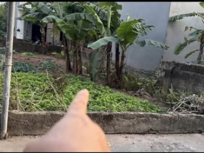 66,4m² đất đẹp Thọ Xuân – Đan Phượng - Ô tô tránh, vị trí kết nối cực tiện