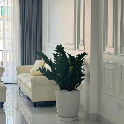 Bán nhà Nguyễn Thời Trung 62m 7 tầng thang máy phân lô vỉa hè ô tô tránh hơn 18 tỷ