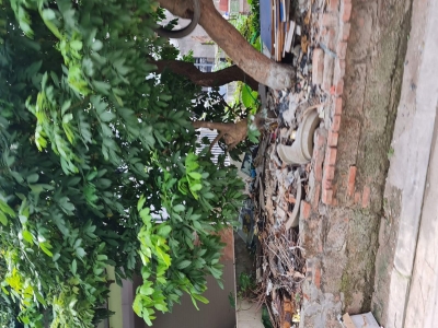 62m2 đất ngõ phố kinh doanh Cửu Việt, Trâu Quỳ, Gia Lâm. 8 tỷ 0xx. Lh 0989894845