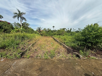 Đất Hòa Nghĩa giá hiếm chỉ 1,x tỷ – gần đường lớn, tiềm năng sinh lời cực cao! ZALO 0567 222 555