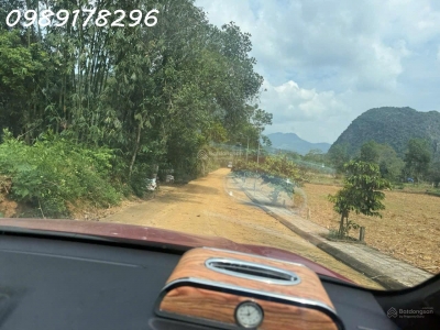 Bán đất tại Đinh Lễ, Ngọc Lặc, Thanh Hóa, 550 triệu, 85m2