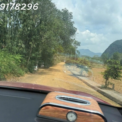 Bán đất tại Đinh Lễ, Ngọc Lặc, Thanh Hóa, 550 triệu, 85m2