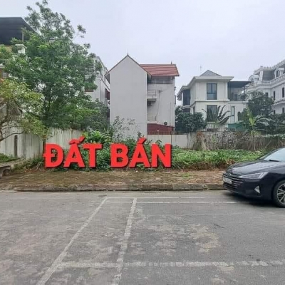 bán đất phân lô khu 31Ha Trâu Quỳ, 250m, mặt tiền 12.5m, đường nhựa, vỉa hè, ôtô dừng đỗ