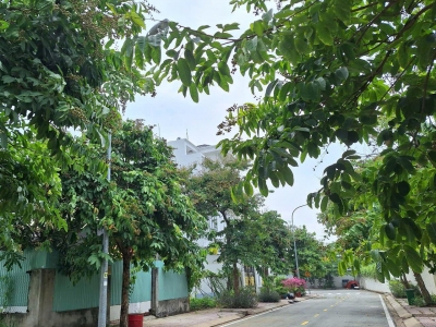 153m đất KDC Bộ Công An, 11.5 tỷ, sổ riêng, xây dựng ngay
