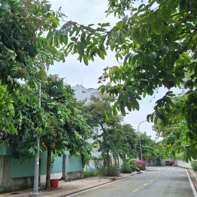 153m đất KDC Bộ Công An, 11.5 tỷ, sổ riêng, xây dựng ngay