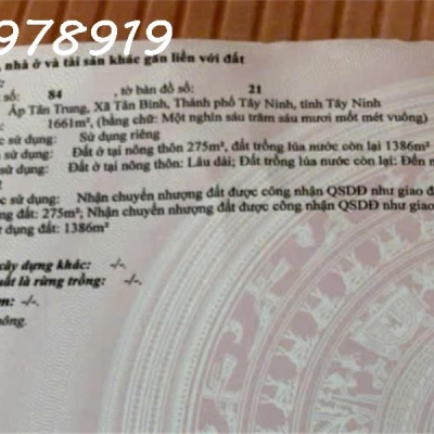 Bán hết 3 miếng sát nhau mặt tiền Trần Phú, Tân Bình, TP. Tây Ninh, DT 8.810m2, giá 30 tỷ