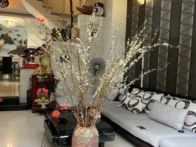 Nhà đẹp 4 tầng HXH Quang Trung P11– Gò Vấp, 67m², cho thuê 144 triệu/năm, 7xT.ỷ TL!