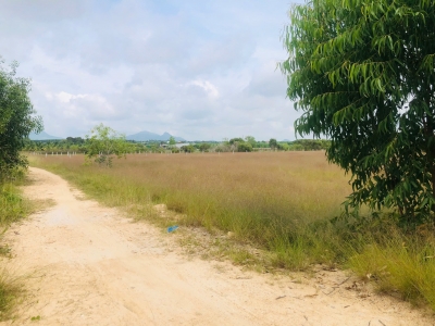 Bán 1000m2 đất gần Biển Tân Bình, LaGi có 400m2 thổ cư giá rẻ