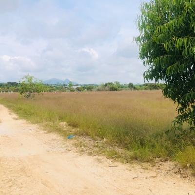 Bán 1000m2 đất gần Biển Tân Bình, LaGi có 400m2 thổ cư giá rẻ