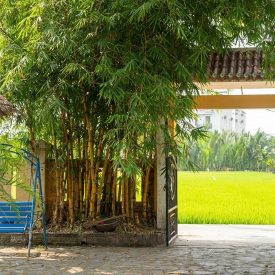 Homestay Hội An Quảng Nam bán cắt lỗ, Diện tích hơn 400m2 giá tốt để đầu tư sinh lời.