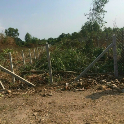 Bán đất vườn nở hậu – Hẻm xe hơi, sổ riêng chính chủ, dễ đầu tư