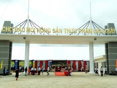 Sốt Dầu Giây! Đất Nền Sổ Hồng Riêng Full Thổ Cư – Giá Từ 19 Triệu/m²