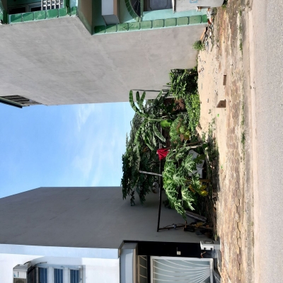 Trung tâm Trâu Quỳ, Gia Lâm 60m2 ô tô tránh chỉ 8 tỷ hơn đầu tư cực tốt. Lh 0989894845