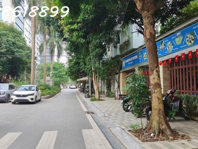 ???? BÁN KIỆT TÁC BIỆT THỰ VƯỜN ĐÀO 236M2 - MẶT ĐƯỜNG ĐÔI - VỊ THẾ ĐẲNG CẤP - GIÁ 123 TỶ ????