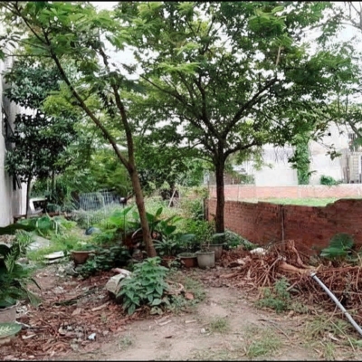 H1710 ???????? đất Nở hậu Lê Văn Khương Q12, 233m2, SHR, 7.x tỷ