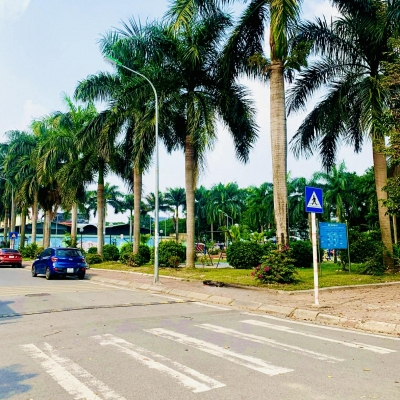 Liền kề Diamond Long Biên, 105m x 7 tầng, MT 6.5m, vị trí đắc địa, vừa ở vừa kinh doanh