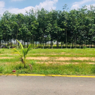 ???? LÔ GÓC 2 MẶT TIỀN – VỊ TRÍ ĐẮC ĐỊA ĐỂ XÂY BIỆT THỰ NGHỈ DƯỠNG GIÁ 900TR