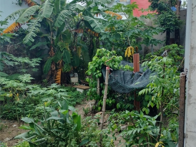 ???? LÔ ĐẤT HIẾM – ĐẸP – RỘNG NGAY HÒA THỌ ĐÔNG – CHỈ 2,8 TỶ!