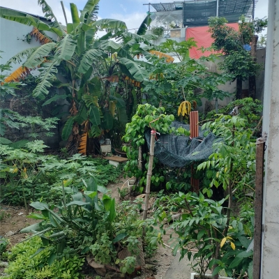 ???? LÔ ĐẤT HIẾM – ĐẸP – RỘNG NGAY HÒA THỌ ĐÔNG – CHỈ 2,8 TỶ!