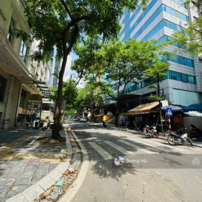 Bán đất phân lô phố Dịch Vọng Hậu - Cầu Giấy - Diện tích 150m Ô tô Tránh View Vườn Hoa Hiếm