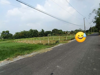 Chính chủ bán đất đường cây gõ, An phú, Củ Chi