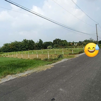 Chính chủ bán đất đường cây gõ, An phú, Củ Chi