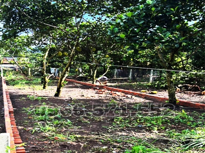 210m² THỔ CƯ, NGAY CHỢ HÀM NGHI – TP LONG KHÁNH – ĐN. CƠ HỘI X2,3 TÀI SẢN.