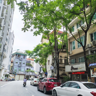 Bán nhà mặt phố Phan Kế Bính, Kd nhà hàng Nhật, vị trí đẹp, vỉa hè rộng, 80m chỉ 33 tỷ