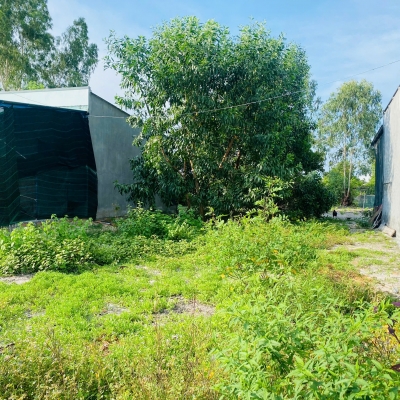 Bán 107m2 đất Hẻm Nguyễn Tri Phương - Tân Bình - LaGi giá rẻ 650 triệu