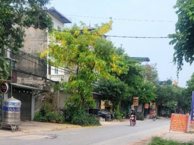 Nhà mặt trục chính kinh doanh sầm uất Đông Mỹ Ngũ Hiệp Vạn Phúc gần 80m giá 9.3 tỷ