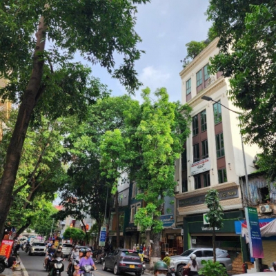 Bán tòa nhà MP Lò Đúc Hai Bà Trưng, lô góc đẹp hiếm, tiềm năng KD đỉnh giá 170 tỷ. LH: 0366 051 ***