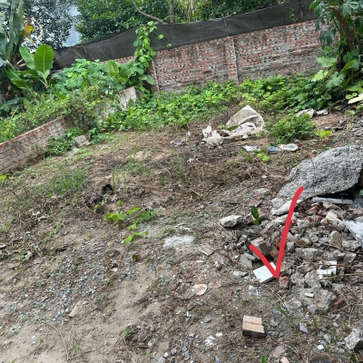 BÁN ĐẤT DƯƠNG QUANG GIA LÂM DT 45M2 GẦN TRƯỜNG HỌC CÁC CẤP HÀNG XÓM THÂN THIỆN Ở SƯỚNG NHỈNH 2 TỶ