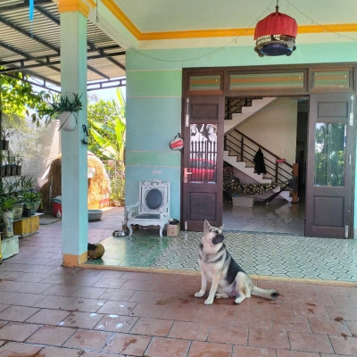 ♪ Nhà Sân Vườn, đường Ô tô có Lề, TX Điện Bàn, 200m2, cách Biển 4 phút, nhỉnh 2 tỷ