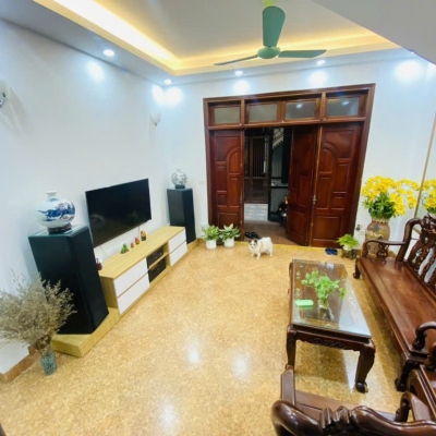 Nhà phân lô An Dương - dân xây - 40m oto tránh - phố kinh doanh tấp nập - giá nhỉnh 11 tỷ.