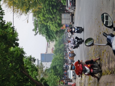 ???? 31m2 TĐC Trâu Quỳ Gia Lâm đường 13m giá 6 tỷ x đầu tư tốt ☎️ 0989894845 ????