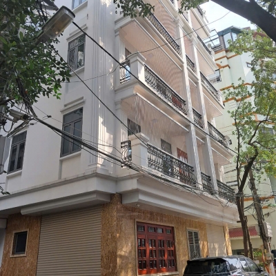 Siêu hiếm, bán nhà Đào Tấn, tòa apartment 9 tầng, ô tô vào, 98m2, dòng tiền 2 tỷ/năm